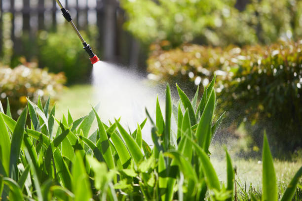 24/7 Emergency Wasp Removal experts in Jerseyville, IL