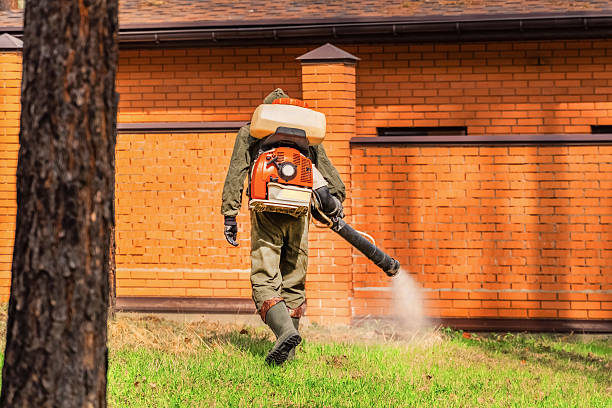 Top rated local Wasp Removal specialists in Jerseyville, IL